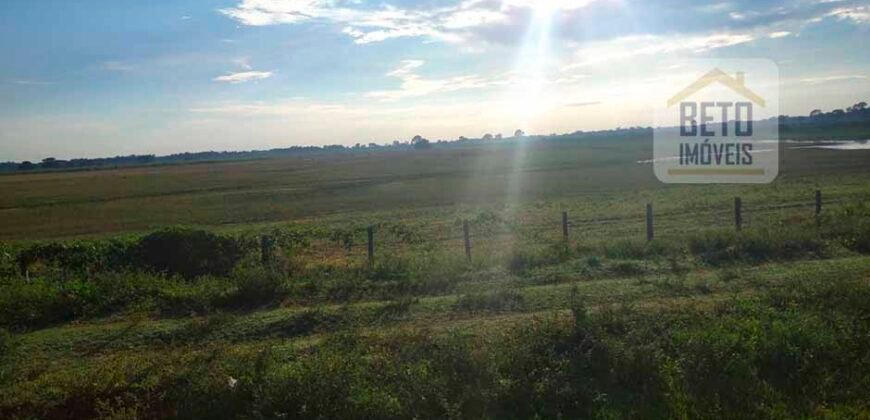 Fazenda 24 Mil Hectares de Puro Potencial Agropecuário e Beleza Natural | N. S. do Livramento/ MT