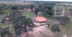 Fazenda 24 Mil Hectares de Puro Potencial Agropecuário e Beleza Natural | N. S. do Livramento/ MT