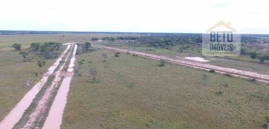 Fazenda 24 Mil Hectares de Puro Potencial Agropecuário e Beleza Natural | N. S. do Livramento/ MT