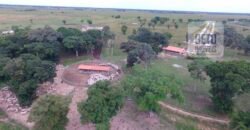 Fazenda 24 Mil Hectares de Puro Potencial Agropecuário e Beleza Natural | N. S. do Livramento/ MT