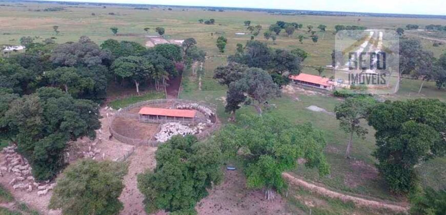 Fazenda 24 Mil Hectares de Puro Potencial Agropecuário e Beleza Natural | N. S. do Livramento/ MT