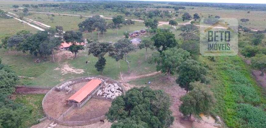 Fazenda 24 Mil Hectares de Puro Potencial Agropecuário e Beleza Natural | N. S. do Livramento/ MT