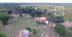 Fazenda 24 Mil Hectares de Puro Potencial Agropecuário e Beleza Natural | N. S. do Livramento/ MT