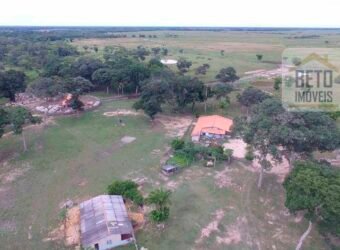 Fazenda 24 Mil Hectares de Puro Potencial Agropecuário e Beleza Natural | N. S. do Livramento/ MT