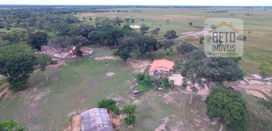 Fazenda 24 Mil Hectares de Puro Potencial Agropecuário e Beleza Natural | N. S. do Livramento/ MT