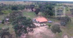 Fazenda 24 Mil Hectares de Puro Potencial Agropecuário e Beleza Natural | N. S. do Livramento/ MT