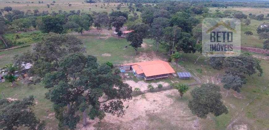 Fazenda 24 Mil Hectares de Puro Potencial Agropecuário e Beleza Natural | N. S. do Livramento/ MT