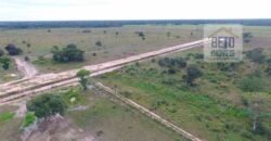 Fazenda 24 Mil Hectares de Puro Potencial Agropecuário e Beleza Natural | N. S. do Livramento/ MT