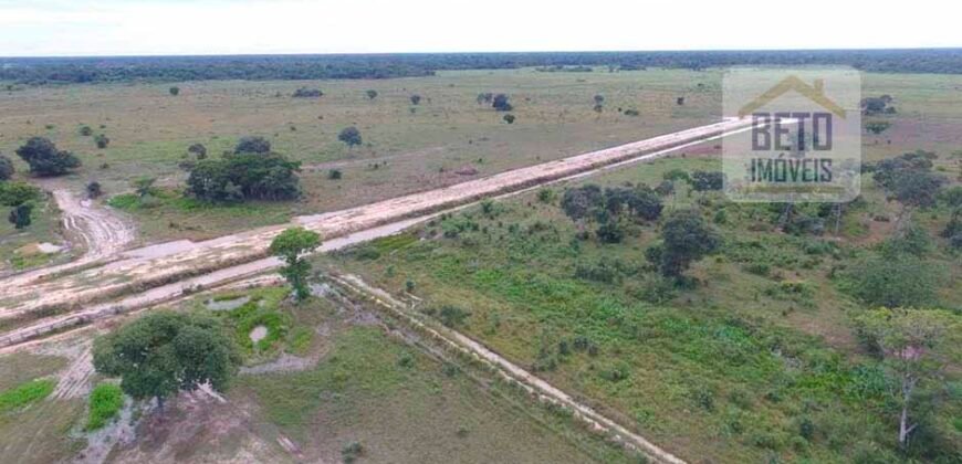 Fazenda 24 Mil Hectares de Puro Potencial Agropecuário e Beleza Natural | N. S. do Livramento/ MT