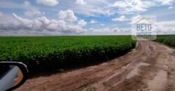 Fazenda 40 mil ha para lavoura estrutura pronta de armazenamento e irrigação | Região do Araguaia/ PA