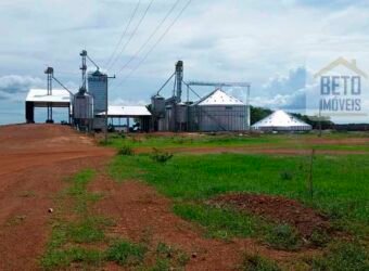 Fazenda 40 mil ha para lavoura estrutura pronta de armazenamento e irrigação | Região do Araguaia/ PA
