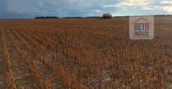 Fazenda 40 mil ha para lavoura estrutura pronta de armazenamento e irrigação | Região do Araguaia/ PA