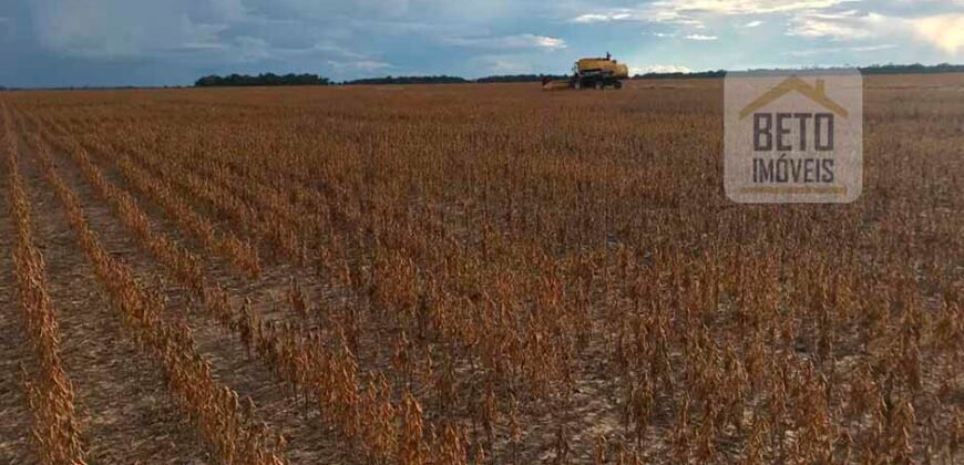 Fazenda 40 mil ha para lavoura estrutura pronta de armazenamento e irrigação | Região do Araguaia/ PA