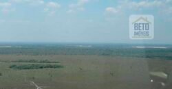 Fazenda 40 mil ha para lavoura estrutura pronta de armazenamento e irrigação | Região do Araguaia/ PA