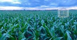 Fazenda 40 mil ha para lavoura estrutura pronta de armazenamento e irrigação | Região do Araguaia/ PA