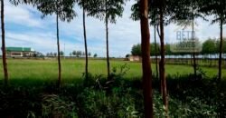 Fazenda 40 mil ha para lavoura estrutura pronta de armazenamento e irrigação | Região do Araguaia/ PA