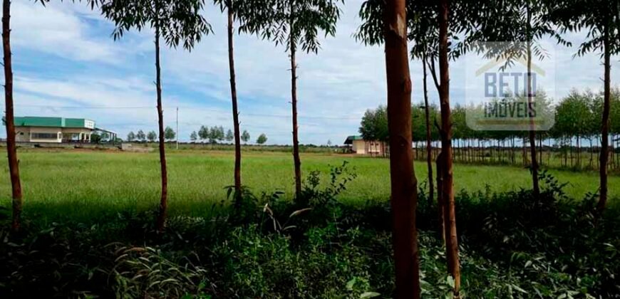 Fazenda 40 mil ha para lavoura estrutura pronta de armazenamento e irrigação | Região do Araguaia/ PA