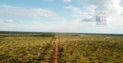 Fazenda 40 mil ha para lavoura estrutura pronta de armazenamento e irrigação | Região do Araguaia/ PA