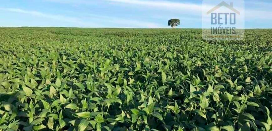 Oportunidade! Excelente fazenda de Lavoura de Cana e Soja 2600 alqueires | Piracicaba/ SP Oportunidade! Excelente fazenda de Lavoura de Cana e Soja 2600 alqueires | Piracicaba/ SP