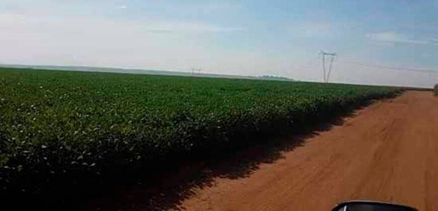 Oportunidade! Excelente fazenda de Lavoura de Cana e Soja 2600 alqueires | Piracicaba/ SP Oportunidade! Excelente fazenda de Lavoura de Cana e Soja 2600 alqueires | Piracicaba/ SP