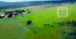 Excelente fazenda Dupla Aptidão à venda 4.356 hectares Pista de pouso e Logística pronta | Gal. Carneiro/ MT