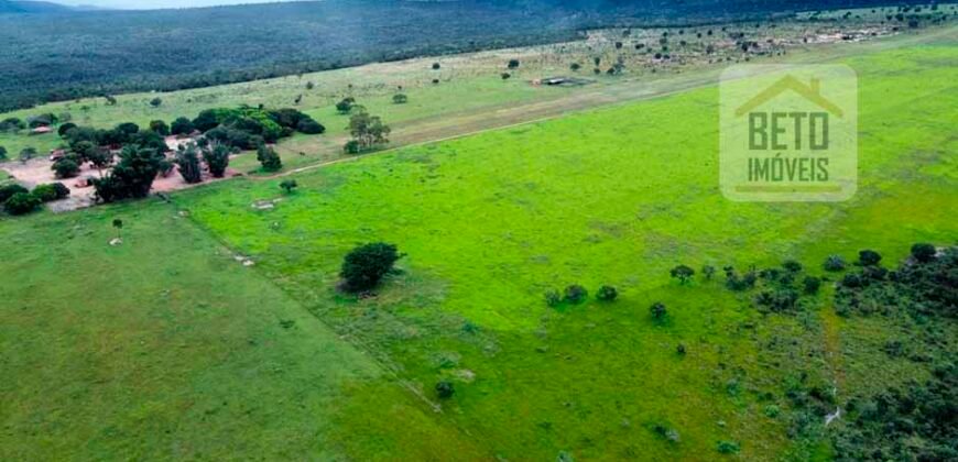 Excelente fazenda Dupla Aptidão à venda 4.356 hectares Pista de pouso e Logística pronta | Gal. Carneiro/ MT