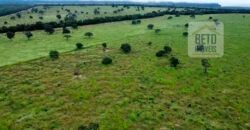 Excelente fazenda Dupla Aptidão à venda 4.356 hectares Pista de pouso e Logística pronta | Gal. Carneiro/ MT