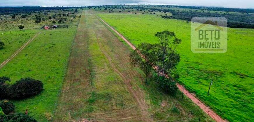 Excelente fazenda Dupla Aptidão à venda 4.356 hectares Pista de pouso e Logística pronta | Gal. Carneiro/ MT