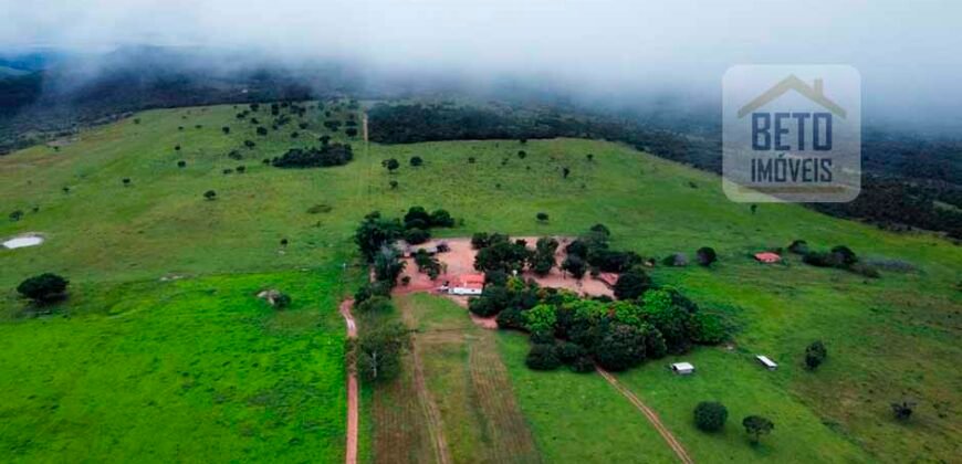 Excelente fazenda Dupla Aptidão à venda 4.356 hectares Pista de pouso e Logística pronta | Gal. Carneiro/ MT