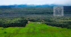 Excelente fazenda Dupla Aptidão à venda 4.356 hectares Pista de pouso e Logística pronta | Gal. Carneiro/ MT