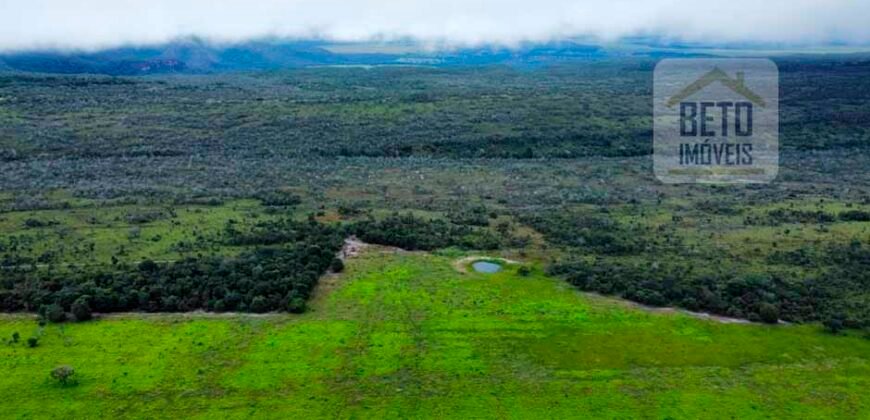 Excelente fazenda Dupla Aptidão à venda 4.356 hectares Pista de pouso e Logística pronta | Gal. Carneiro/ MT