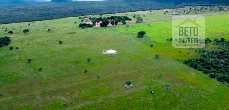 Excelente fazenda Dupla Aptidão à venda 4.356 hectares Pista de pouso e Logística pronta | Gal. Carneiro/ MT