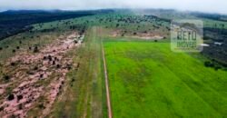 Excelente fazenda Dupla Aptidão à venda 4.356 hectares Pista de pouso e Logística pronta | Gal. Carneiro/ MT