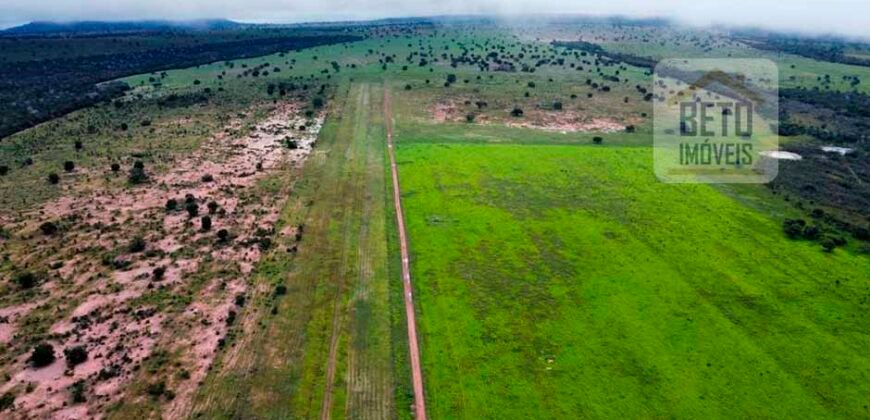 Excelente fazenda Dupla Aptidão à venda 4.356 hectares Pista de pouso e Logística pronta | Gal. Carneiro/ MT