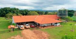 Excelente fazenda Dupla Aptidão à venda 4.356 hectares Pista de pouso e Logística pronta | Gal. Carneiro/ MT