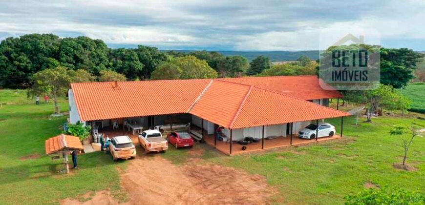 Excelente fazenda Dupla Aptidão à venda 4.356 hectares Pista de pouso e Logística pronta | Gal. Carneiro/ MT