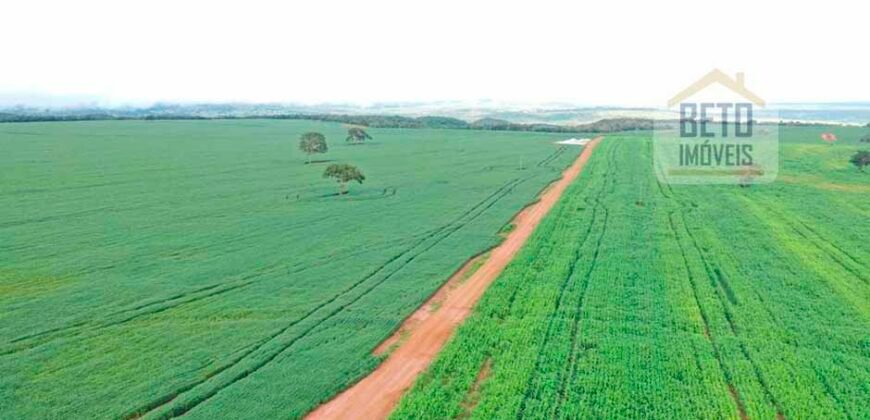 Excelente fazenda Dupla Aptidão à venda 4.356 hectares Pista de pouso e Logística pronta | Gal. Carneiro/ MT