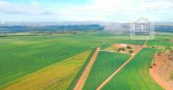 Excelente fazenda Dupla Aptidão à venda 4.356 hectares Pista de pouso e Logística pronta | Gal. Carneiro/ MT