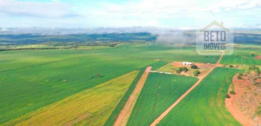 Excelente fazenda Dupla Aptidão à venda 4.356 hectares Pista de pouso e Logística pronta | Gal. Carneiro/ MT
