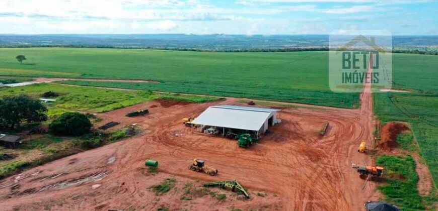 Excelente fazenda Dupla Aptidão à venda 4.356 hectares Pista de pouso e Logística pronta | Gal. Carneiro/ MT