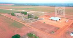 Excelente fazenda Dupla Aptidão à venda 4.356 hectares Pista de pouso e Logística pronta | Gal. Carneiro/ MT
