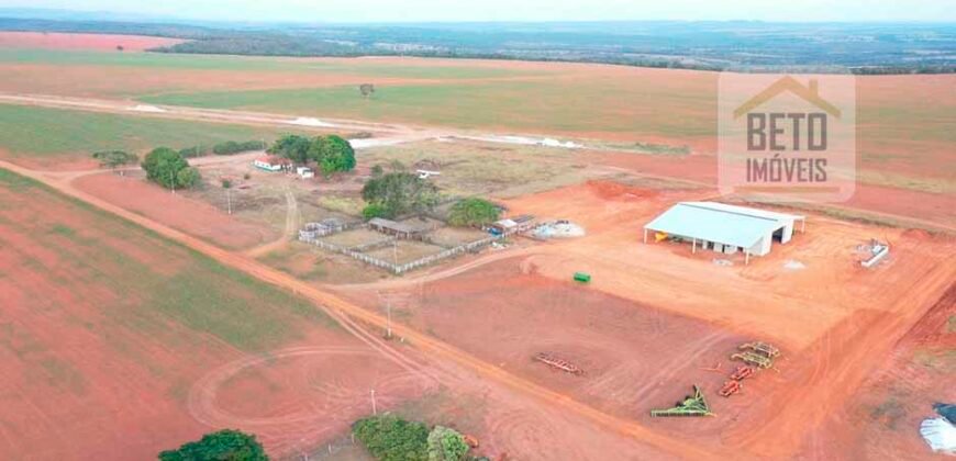 Excelente fazenda Dupla Aptidão à venda 4.356 hectares Pista de pouso e Logística pronta | Gal. Carneiro/ MT