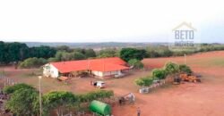 Excelente fazenda Dupla Aptidão à venda 4.356 hectares Pista de pouso e Logística pronta | Gal. Carneiro/ MT