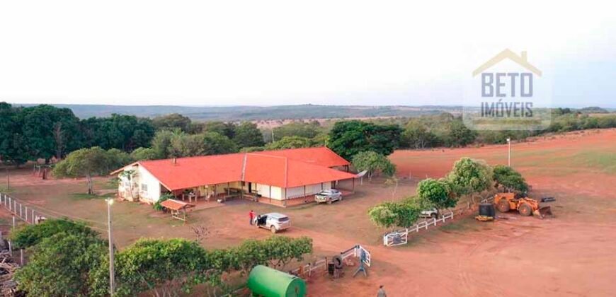 Excelente fazenda Dupla Aptidão à venda 4.356 hectares Pista de pouso e Logística pronta | Gal. Carneiro/ MT