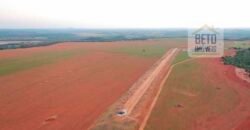 Excelente fazenda Dupla Aptidão à venda 4.356 hectares Pista de pouso e Logística pronta | Gal. Carneiro/ MT