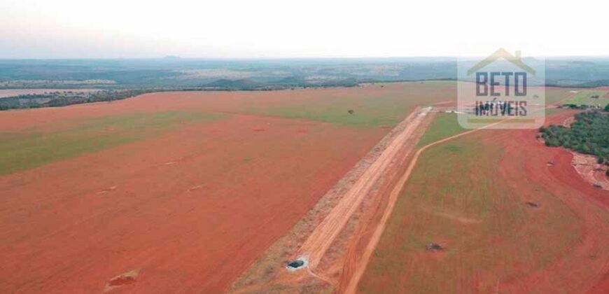 Excelente fazenda Dupla Aptidão à venda 4.356 hectares Pista de pouso e Logística pronta | Gal. Carneiro/ MT