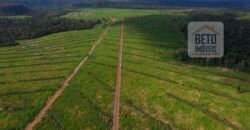 Fazenda Dupla Aptidão Lavoura Soja e Pecuária 12 mil hectares com pista de pouso | Comodoro/ MT