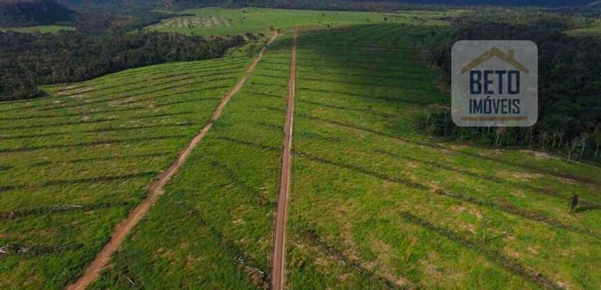 Fazenda Dupla Aptidão Lavoura Soja e Pecuária 12 mil hectares com pista de pouso | Comodoro/ MT