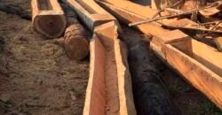 Fazenda Dupla Aptidão Lavoura Soja e Pecuária 12 mil hectares com pista de pouso | Comodoro/ MT