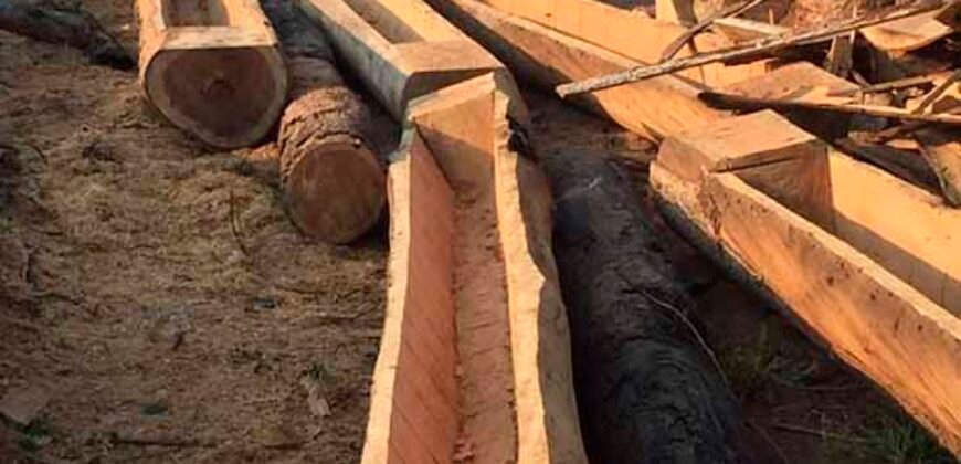 Fazenda Dupla Aptidão Lavoura Soja e Pecuária 12 mil hectares com pista de pouso | Comodoro/ MT